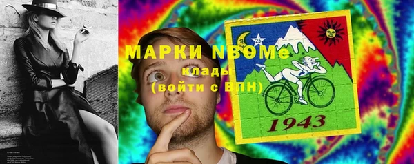 шишки Горнозаводск